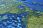 Reef Encounter - 2 Day/ 1 Night Snorkel Adventures - TWIN SHARE