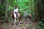 Half Day Horse Riding Tour (Afternoon Tour)