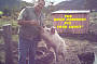 Shout the pig a beer