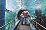 Melbourne Five in One Attractions Pack