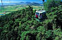 Skyrail Rainforest Cableway