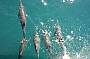 Rottnest Island Eco Sail Adventure