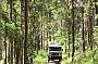 Outback Tracks - Half Day Tour