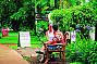 Australia ZOO & Sunshine Coast Hinterland Tour from Brisbane
