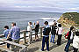 EARLY RETURN Great Ocean Road Direct (lunch included)