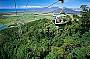 KURANDA SELF DRIVE OPTION (DST)