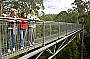 Otway Fly Tree Top Walk