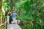 Skyrail, Kuranda Wildlife Experience and Kuranda Scenic Railway - from Cairns