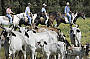 Half Day Horse Riding Tour (Morning Tour)