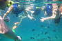 1 Day Moreton Island Extreme Day Tour Ex Brisbane