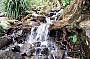 Russell River Full Day Sports Rafting Ex Cairns