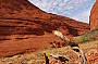 ROCK 2 WATER (6 days Alice Springs to Adelaide)