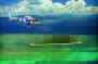 Scenic Flight From Green Island/Outer reef pontoon