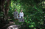 Green Island Rainforest 