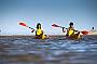 Single Kayak - Hire for up to 4 hours