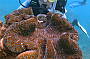OSPREY V Reef Cruise & Glass Bottom Boat Tour