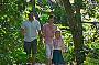 Discover with a self guided island walk through the rainforest