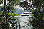 Through the mangroves on Trinity Inlet 