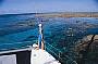 Synergy Full Day Outer Reef Sail & Snorkel Cruise