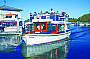 Noosa river cruise