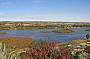Mannum Lookout