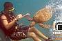 Cairns Digital - four days underwater camera rental - FREE memory upgrade