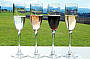 YARRA VALLEY WINERY TOUR