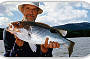 Fishing the Tropics : Estuary Fishing - Half Day