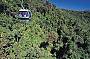 Return Skyrail Rainforest Cableway Experience - from Port Douglas