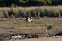 Aboriginal Cultural 4WD Exp.