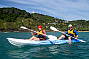 Dolphin Kayaking