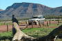 FLINDERS RANGES