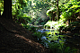 The Great Otway National Park