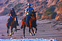 Horseriding