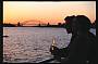 Sydney Sunset