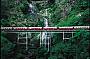 ST13 - Skyrail/Kuranda/Train