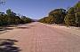 Avenue of wattles - North of Coen