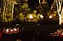 Dining at Flames