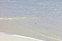 Helicopter Fantasy Flight - Sandy Cay