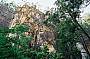 5 Day Carnarvon Gorge Tour