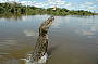 One Day Arnhemland Tour- Season starts May 