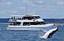 Mikat Whale Cruises