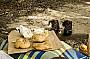Delicous picnic lunch