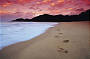 Cape Tribulation Beach