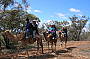 Jump on board a camel