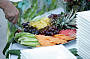 Sydney Harbour Daily Sightseeing Lunch Cruise