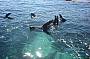 Rottnest Island Eco Sail Adventure