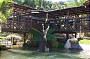 Jumping crocodile