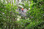 Daintree Rainforest Walkway