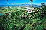 Crocodile Explorer & Skyrail 